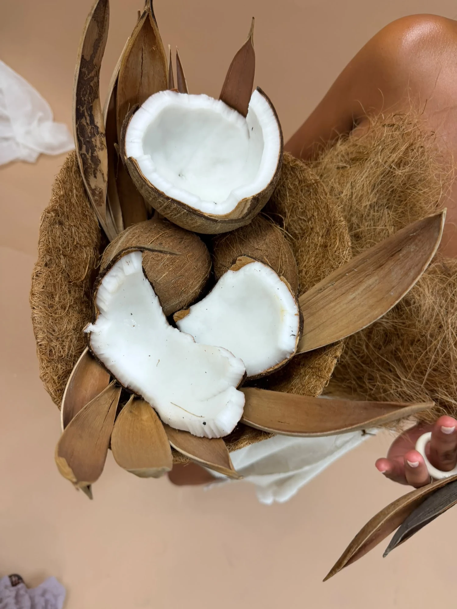 Ivory coconut flesh, brown husks and natural fibres from the coconut shoot